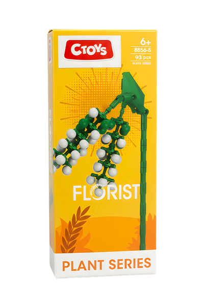 CToys Plant Series Florist Block Phytolacca Acinosa 8856 5
