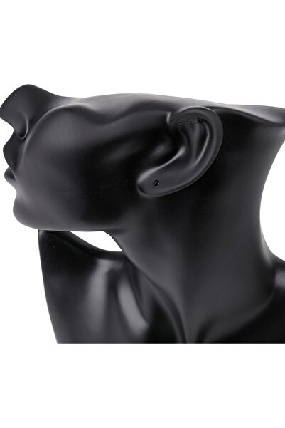 Generic Black resin mannequin jewelry display stand - organizer for necklaces and earrings