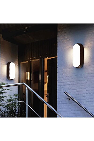 LEDIGANT Aplica LED 12W Oval Exterior, 6500k, Negru