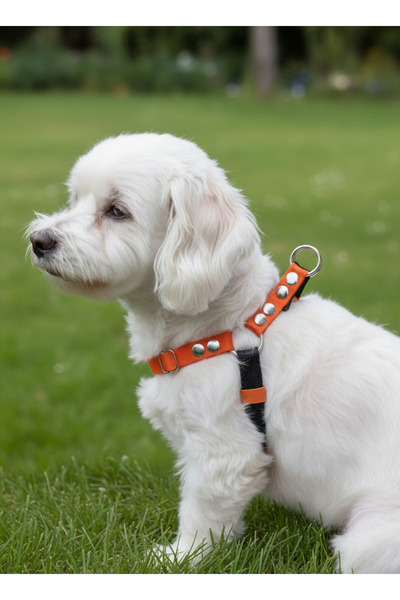 balkonda Dog Collar Small and Medium Breed Adjustable Column Cord