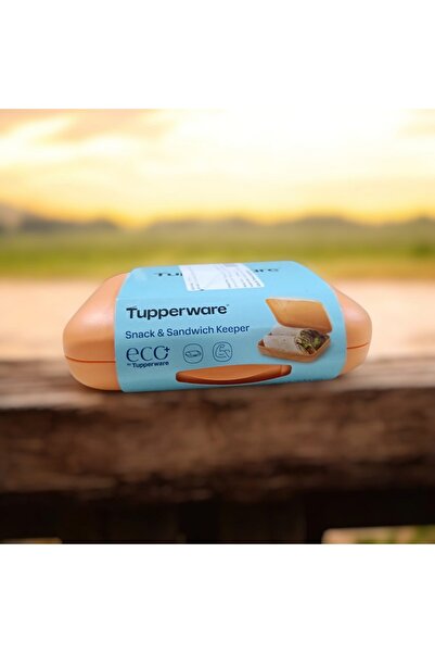 Tupperware Sandwich and Snack Carry Container