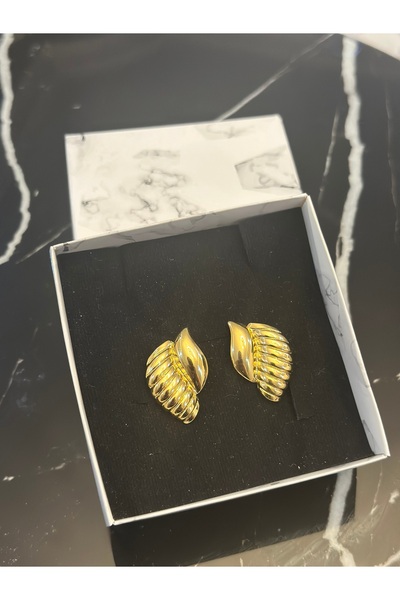 Menshure Wing Model Steel Earrings