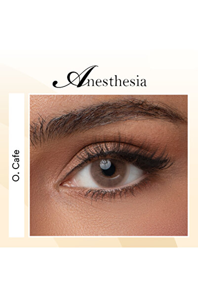 Anesthesia Daily Lenses – Ones Cafe