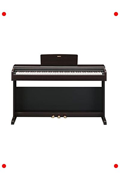 Genel Markalar Dijital Piyano (Gül Ağacı Rengi, Başlangıç/Hobi)