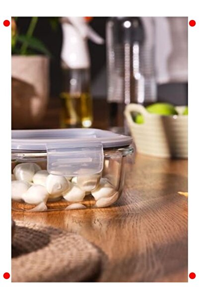 markentegra Na Series Borosilicate Storage Container 520 ml