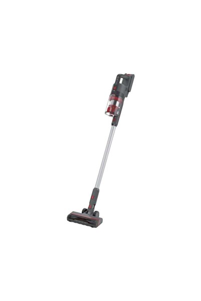 DLC A versatile 165W vacuum cleaner with powerful suction and a quiet design.