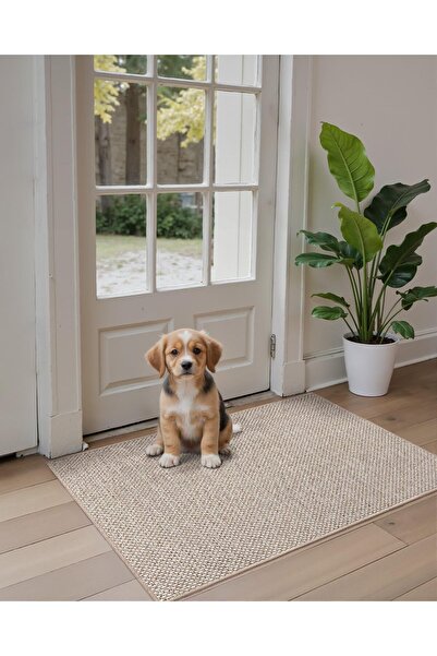 dexi Door Mat Inside Entrance 43 x 76 cm, Ultra Thin Non-Slip Rubber Backed Absorbent Doormat