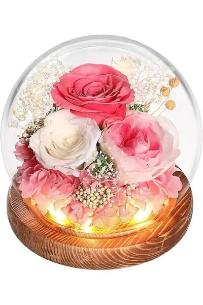 EXCEFORE ورود أبدية في قبة زجاجية مع إضاءة LED - ورود حقيقية تدوم طويلاً، زهو...
