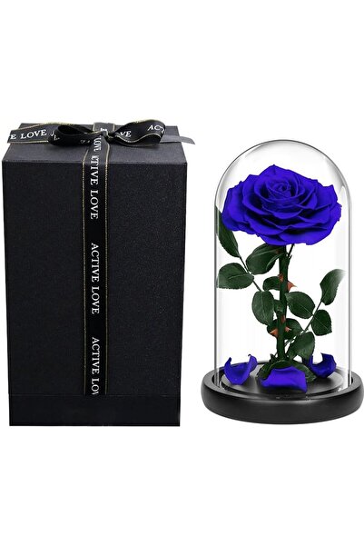 Generic Large-size Forever Rose in Glass Dome - Preserved Flower with Luxury Gift Box (22x14x14 cm, BLUE)