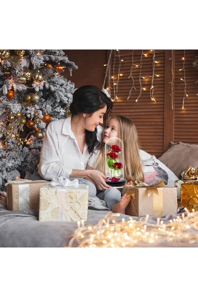 Defsedar Galaxy Rose with LED Clear Glass Dome - 3 Red Silk Roses