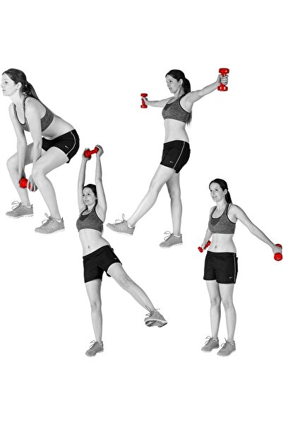 Prime Tag Portable Dumbbell Set with Carry Case, Vinyl/Neoprene Coating