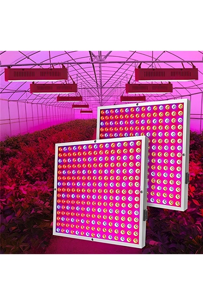 LEDIGANT UV LED plant lamp, 144 LEDs, full spectrum, 30×30 cm, ideal for indoors
