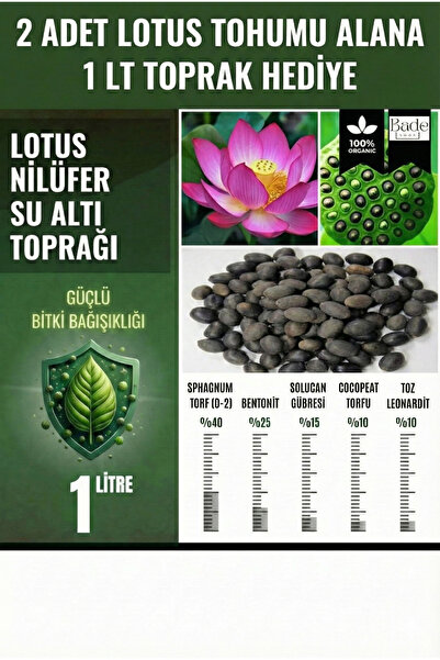 Bade Shop Lotus Çiçeği (Nilüfer) Tohumu - 2 Adet | Toprak Hediyeli (1 LT Su A...