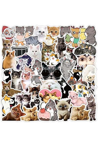 OEM Sticker Set, 54 Adhesive Pieces, Kittens - Cute Cats, 5 cm (QPO)
