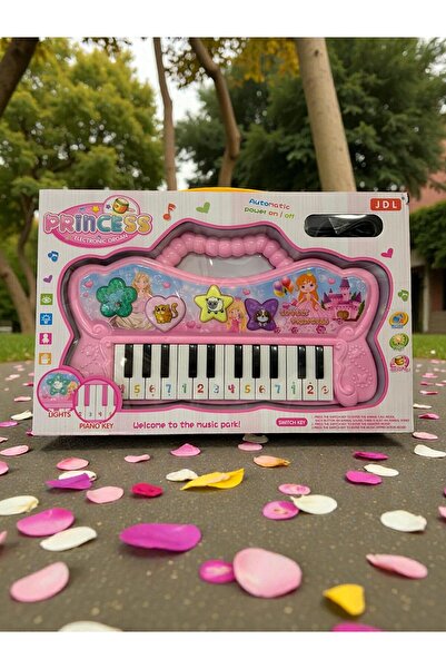 OEM Electronic Organ for Children "Princess" with Lights, Sounds and 22 Keys – Pink Musical Toy