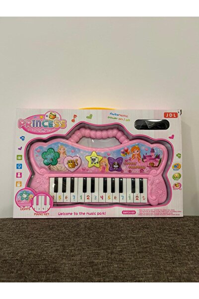 OEM Electronic Organ for Children "Princess" with Lights, Sounds and 22 Keys – Pink Musical Toy