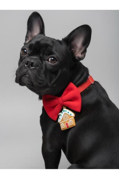 Kemique Ginger Home Small Breed Dog Bow Tie Collar |   Red Bow Neck Accessory...