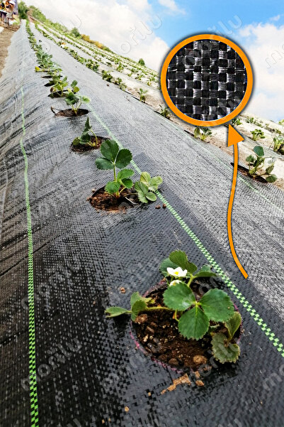 Morilu Sera Taban Örtüsü - 90 Gr/m2 - Sera Perdesi - SİYAH Jüt Taban Örtüsü -...