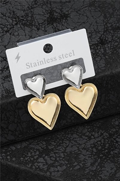 Cozyce Steel Two Color Earrings