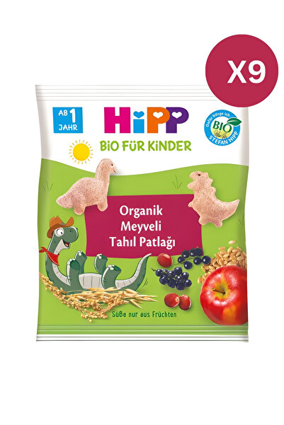 Hipp Organik Meyveli Tahıl Patlağı 30 gr x 9 Adet
