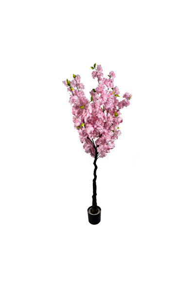 OEM Cires Inflorit 160cm