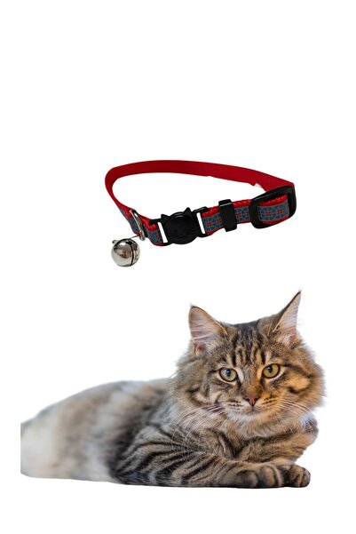 GOLD BE طوق قطط قابل للتعديل مع جرس ملون 10 مم 18/28 سم - آمن وأنيق