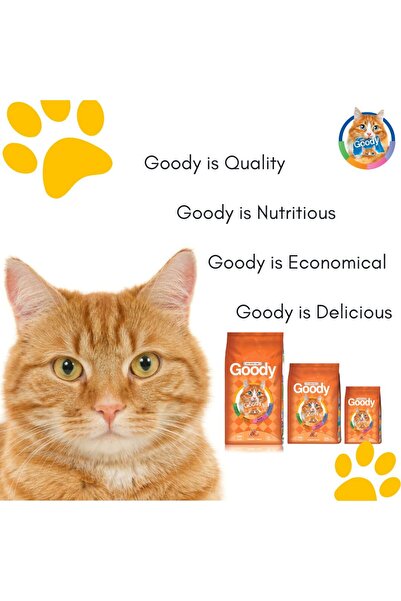 Goody Cat Food - Premium Dry Cat Food, Chicken Flavor - 500g