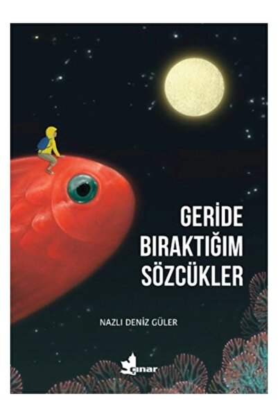 Çınar Yayınları Geride Bıraktığım Sözcükler