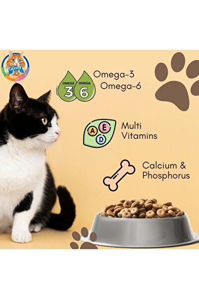 Goody KITTEN FOOD - Premium Kitten Dry Food, Beef Flavor, Balanced Nutrition, Energy and Taste - 500