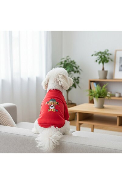 OEM Stylish, cute, comfortable blouse for small and medium pets, MDL-15B