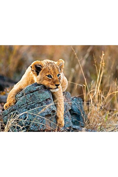 RAVENSBURGER Little Lion Puzzle, 200 Pieces