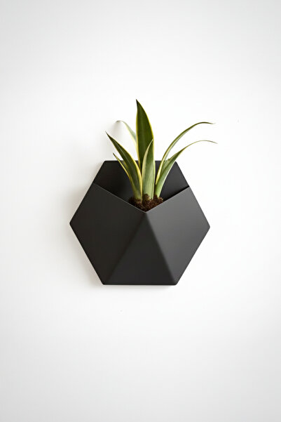 OEM Hexa Design Wall Pot – Matte Black Color
