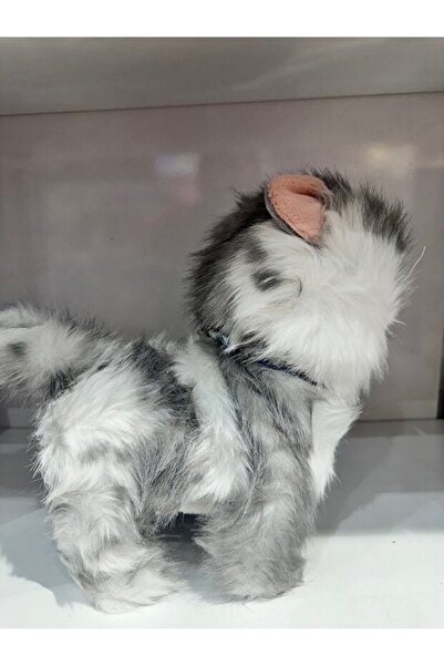 PeriYedi Tasmalı Dil Çıkartan Sesli Hareketli Ses Tekrarı Yapan Sevimli Kedi Büyük Boy Gri