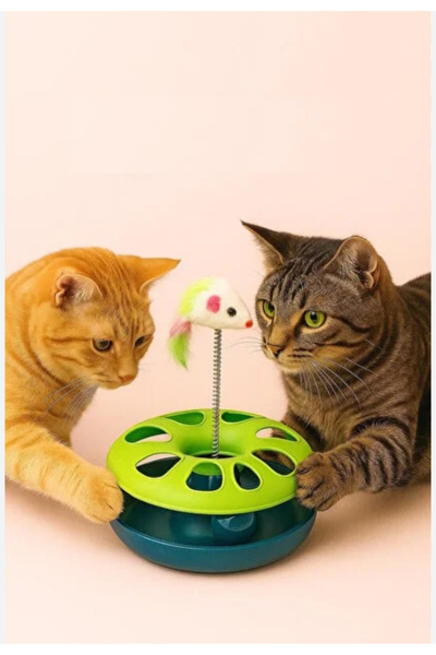 mywarehouse Çember Tek Katlı Toplu Kedi Oyuncağı