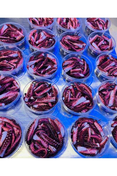 TwoDays AHTAPOT KOL NET- 250 GR SÜZME 125 GR