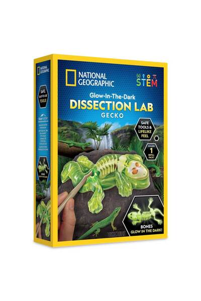 NATIONAL GEOGRAPHIC Kit de laborator pentru disecția gecko care strălucește în întuneric