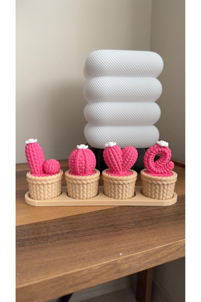 MinikbirDükkan 3d Baskı Örgü Dokulu Love Kaktüs Saksı Seti Dekoratif Biblo