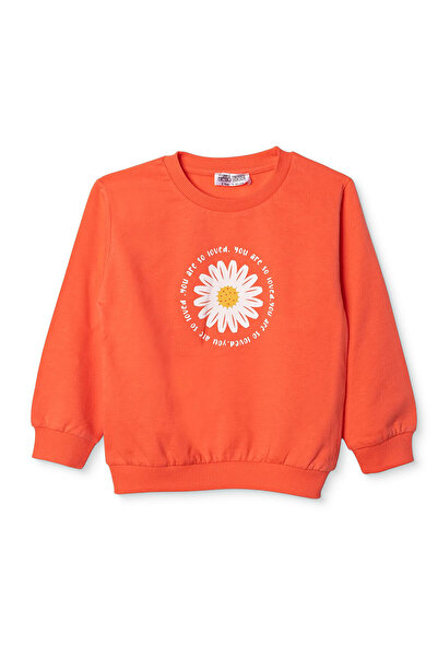 ebebek Hello Baby HelloBaby Kız Bebek Sweatshirt İki İplik Bisiklet Yaka Uzun...