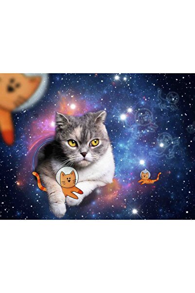 RAVENSBURGER Kittens in Space Puzzle, 1500 Pieces