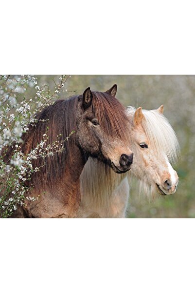 RAVENSBURGER Puzzle Ponei, 150 Piese