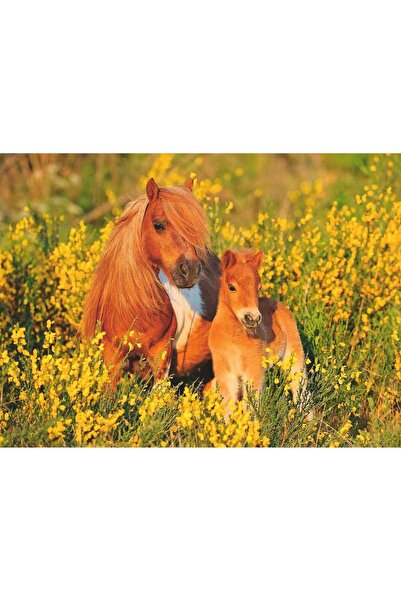 RAVENSBURGER Pony Puzzle, 100 Pieces