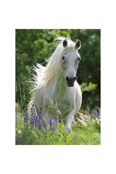 RAVENSBURGER Puzzle Cal Alb, 100 Piese