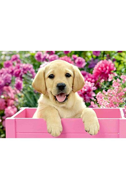 RAVENSBURGER Puppies Puzzle, 2X24 Pieces