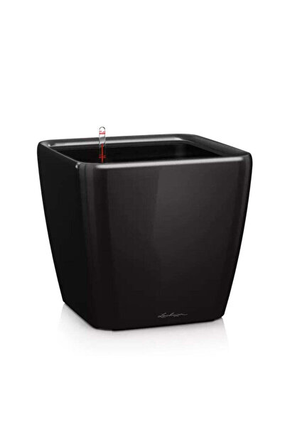 Lechuza Ghiveci cu auto-udare Quadro Premium 21 LS, 4 L, negru lucios