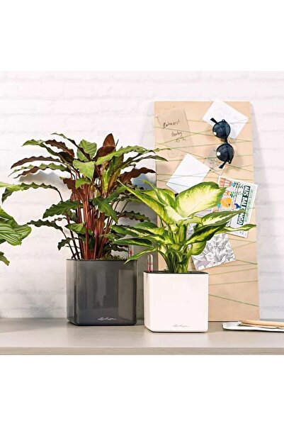 Lechuza CUBE Glossy 16 Self-Watering Planter, Glossy Black