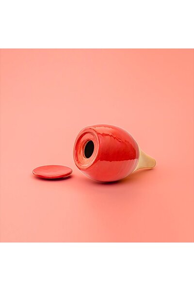 LUTOYA red self-watering plant pot, decorative, ceramic, clay, , 200 ml