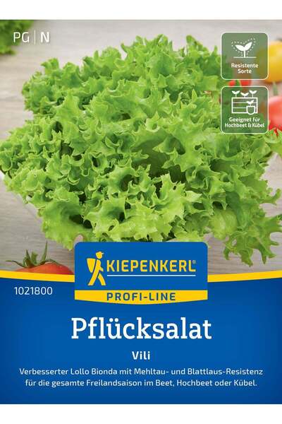 Kiepenkerl Seminte salata Vili – cultura usoara si gust proaspat, cu protecti...