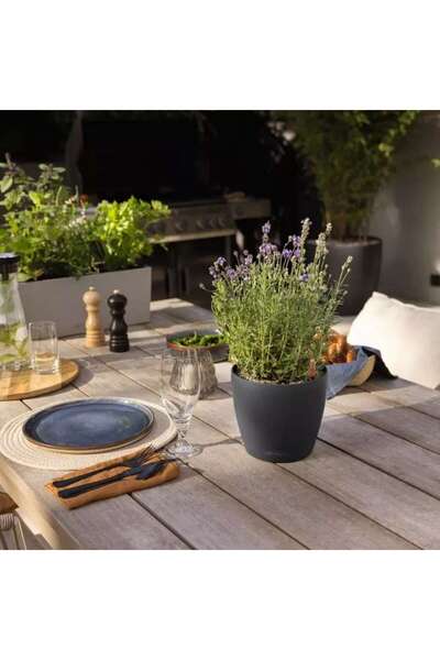 Lechuza Ghiveci cu auto-udare Classico Color 18, 2,5 L, alb mat