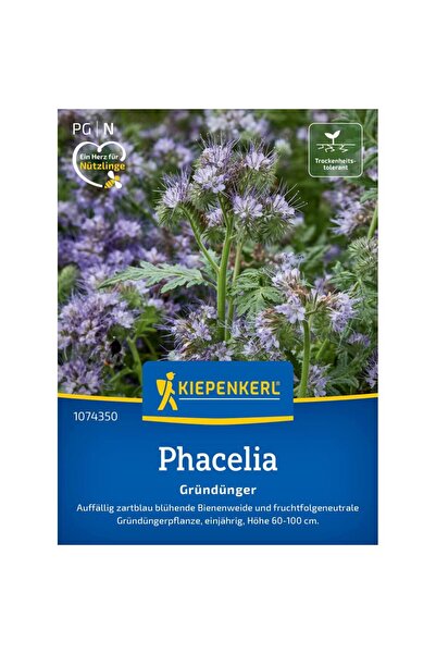 Kiepenkerl Seminte de facelia – atractant pentru albine si sol sanatos, ajung...