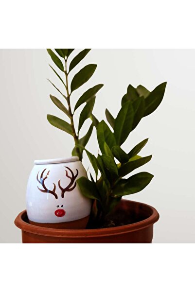 LUTOYA "Ren" Self-watering Plant Vessel, Decorative Terracotta, 350 ml